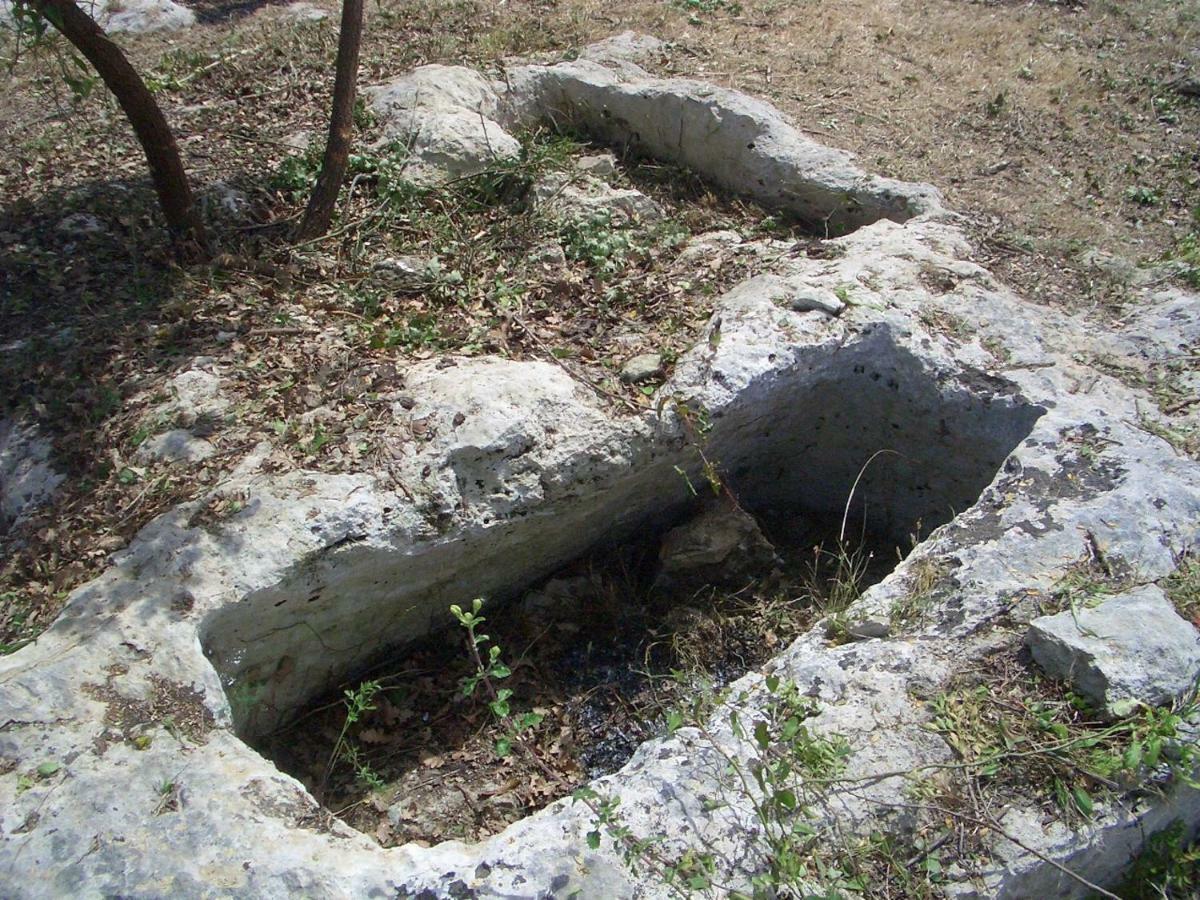 Mundus Terrae Villa Casa della Contessa Екстериор снимка